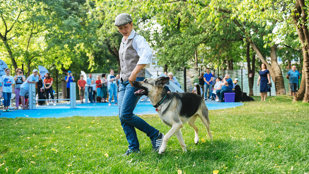 Площадка для выгула собак на улице Куусинена (САО, Хорошевский)